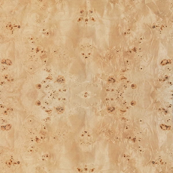Thomas Burl Counter Stool